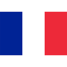 Switch Language